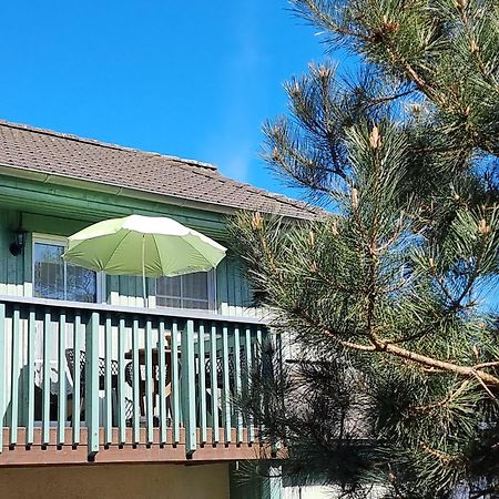 Ferienwohnung Strandwurzel Zempin Buitenkant foto